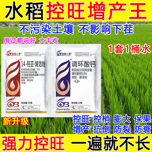 水稻控旺增产专用药水稻矮壮素膨大控旺调节剂保花保果正品烯效唑