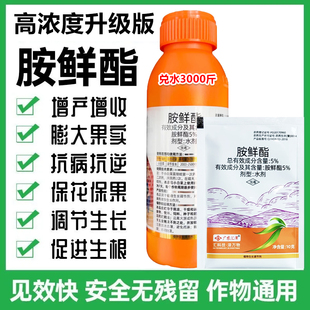 胺鲜酯白菜防冻抗冻促生长果树膨果着色水稻增产植物生长调节剂