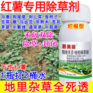 红薯专用除草剂甘薯红薯苗后除草剂禾阔双除杂草死根不伤苗正品