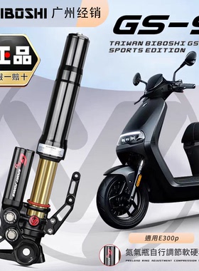 比博士GS9倒置前减震小牛NX/FXT风速 九号MZ M5 M395C 极核AE4 5