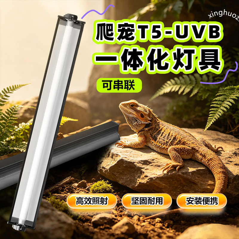 星火照明t5uvb灯管爬宠乌龟补钙
