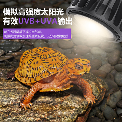 星火照明全光谱uvb乌龟晒背led灯