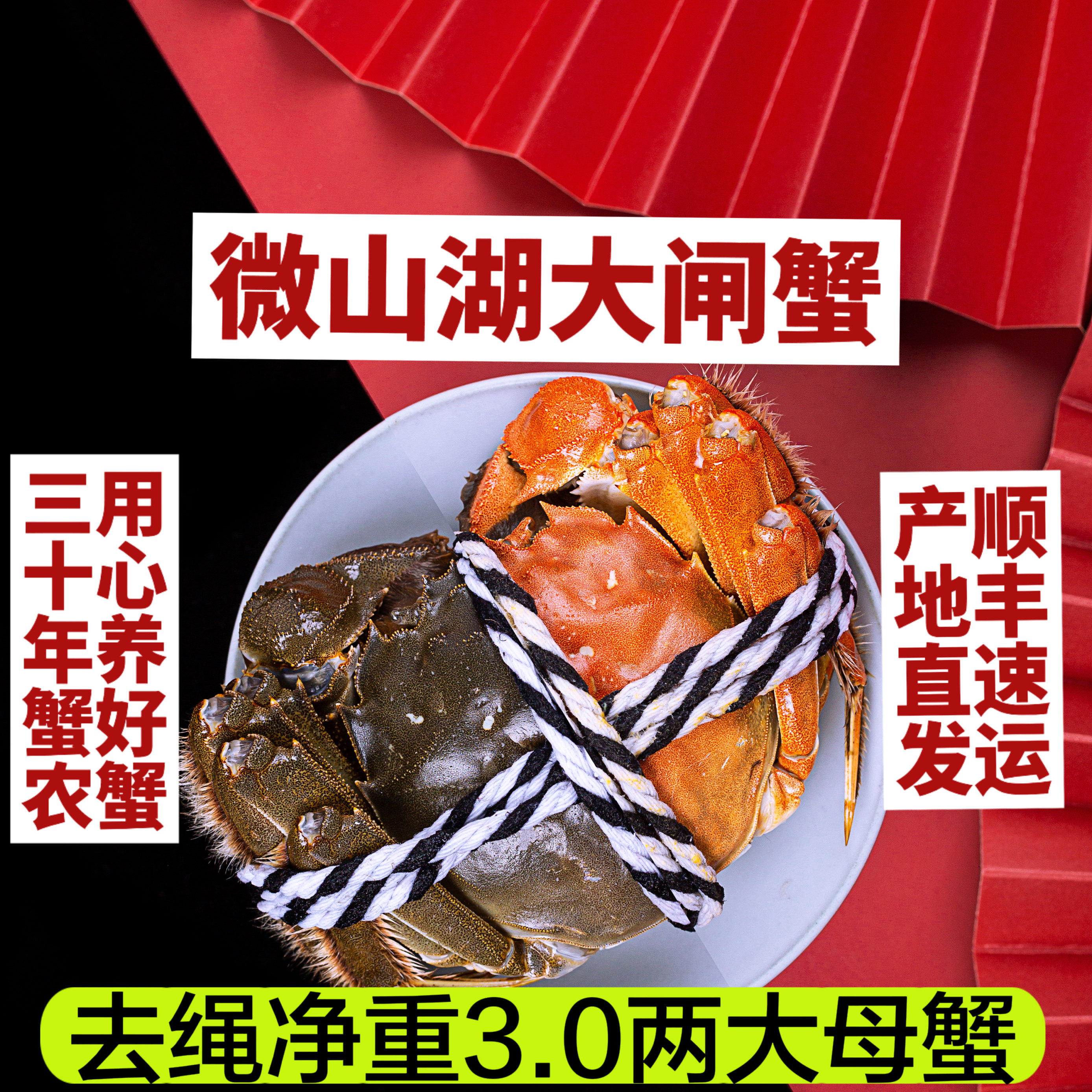 山东微山湖大闸蟹自家养殖湖蟹普通全母大螃蟹现抓现发包活包口感