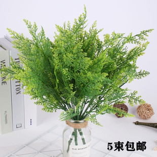 7叉铁线蕨草文松草水草塑料植物墙配材仿真波斯蕨绿色园艺假花卉