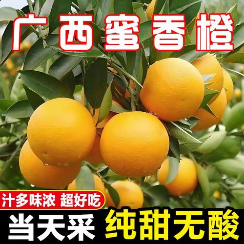 桂林纯甜无酸蜜香橙爆汁纯甜