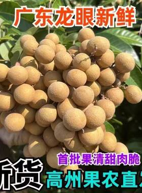 顺丰冷链广东高州石峡龙眼桂圆