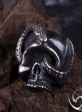 高山隆暗黑盘蛇骷髅戒指 做旧背点金 stoplight指环