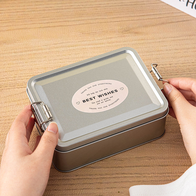 马口铁盒子收纳空存储宽窄皮金属糖果饼干零食大小号长方形带盖