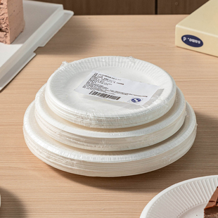 一次性盘子餐盘纸盘子餐具食品级生日蛋糕派对烧烤白色绘画圆形菜