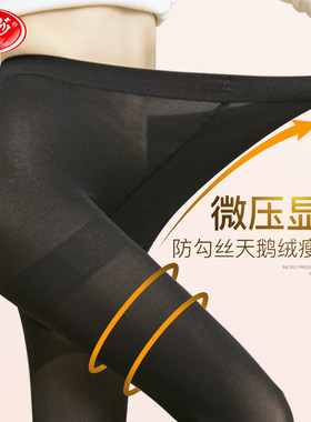 条春秋天鹅绒中厚款均码丝袜