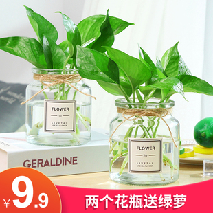 加厚北欧ins风玻璃花瓶透明水培植物绿萝创意简约花器 两件套