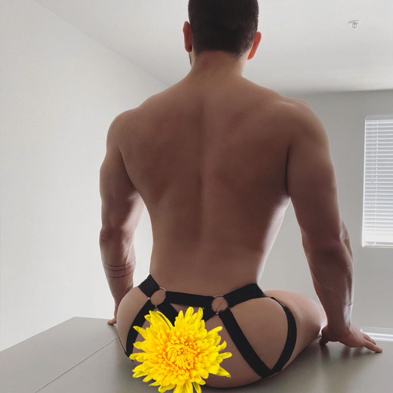 同志比基尼高叉火辣蜜桃臀丁字裤