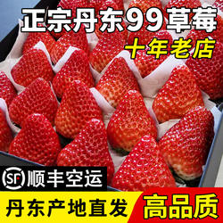 丹东草莓新鲜红颜九九奶油孕妇水果当季东港牛奶99甜大草莓高品质