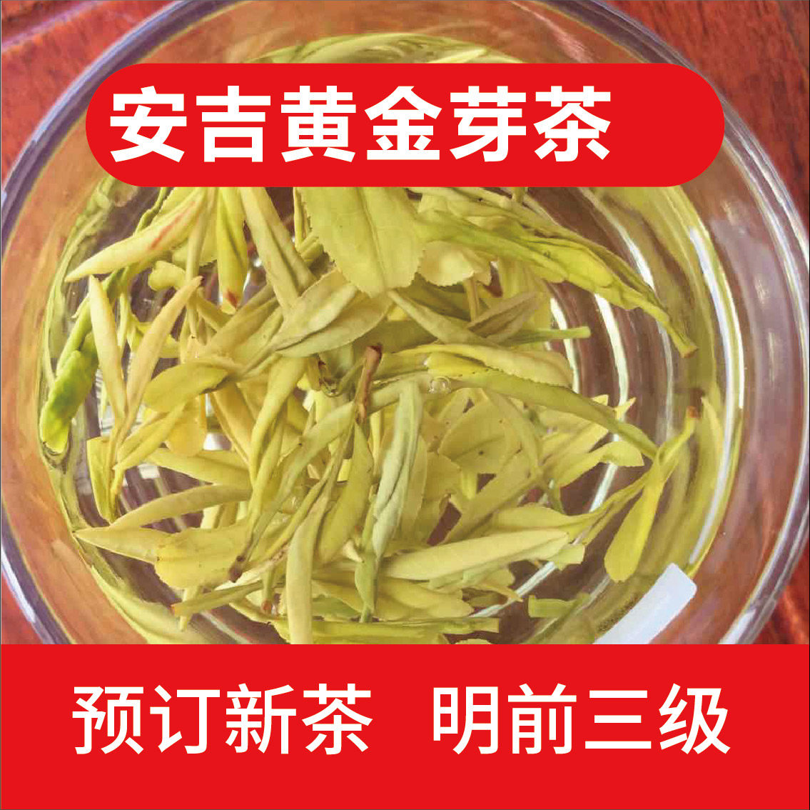 2026年 新茶预定 黄金芽 绿茶 实物拍摄 500克 黄茶 安吉发货