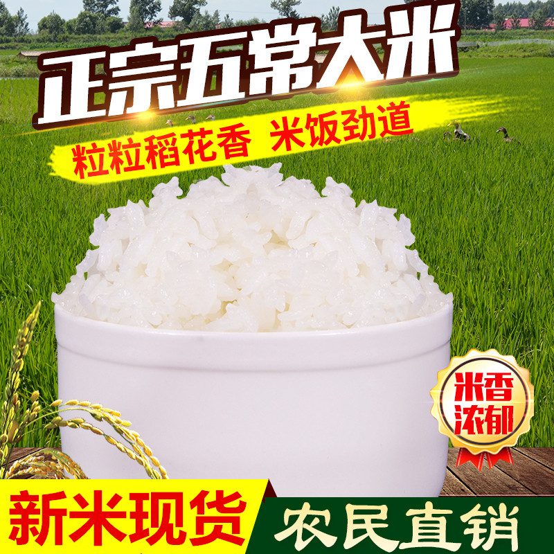 农家自产 2025新东北正宗五常稻花香大米不抛光黑龙江长粒5kg10斤