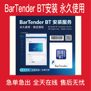 BarTender BT中文软件安装 使用 标签水洗标打印软件10.1稳定