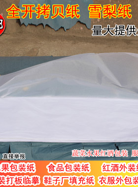 17g拷贝纸包装纹身转印临摹衣服