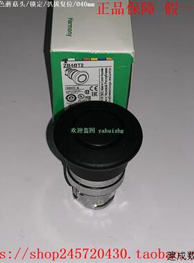 议价ZB4BT2 ZB4BT3 ZB4BT5 ZB4BT6 ZB4BT84 施耐德蘑菇按钮头