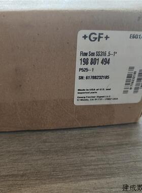 议价GF+乔治费希尔流量计P5252-1.