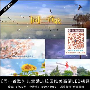 《同一首歌》杨烁原音伴奏LED背景视频节目舞台舞美高清视频