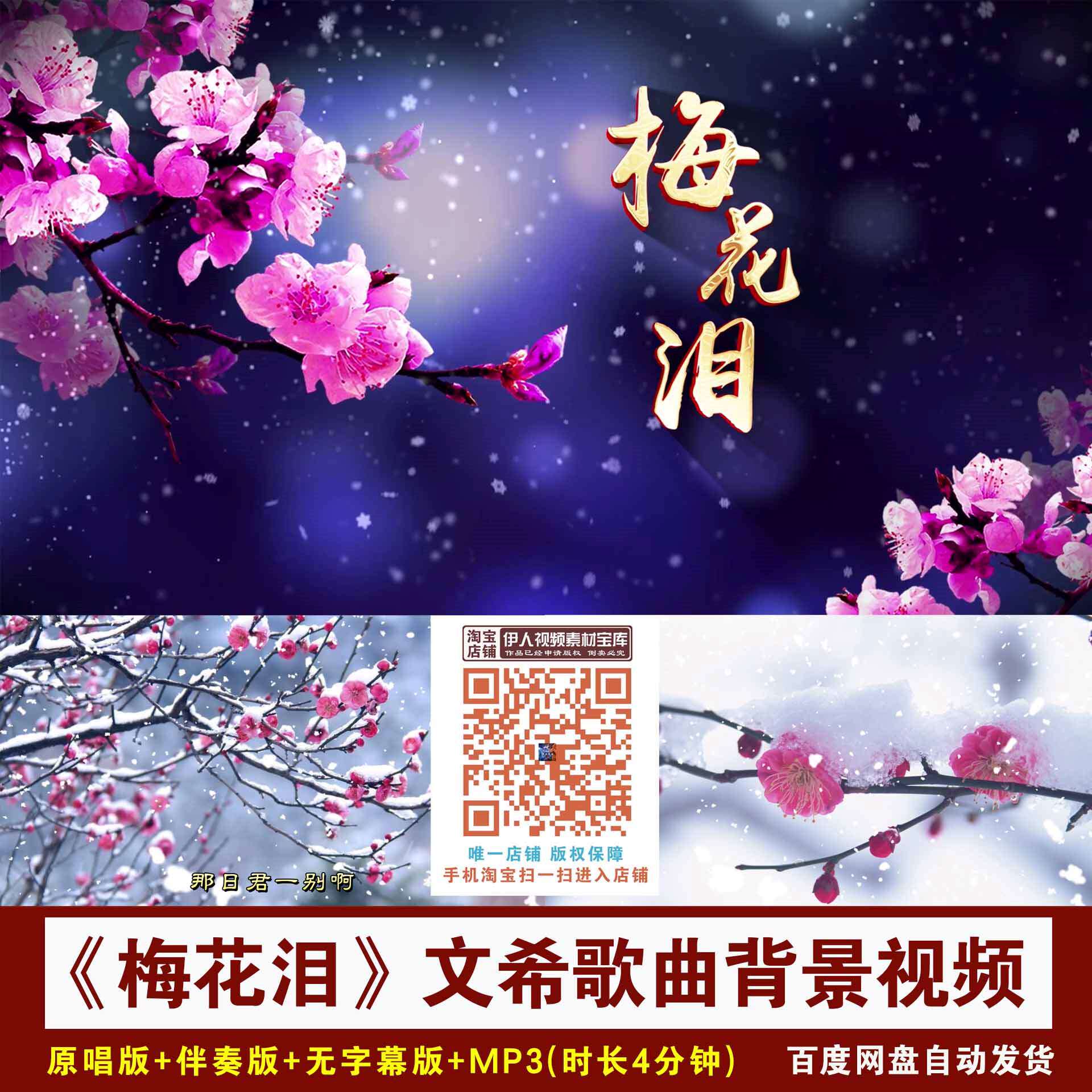 《梅花泪》文希歌曲背景视频冬天雪中梅花歌曲舞台LED背景视频
