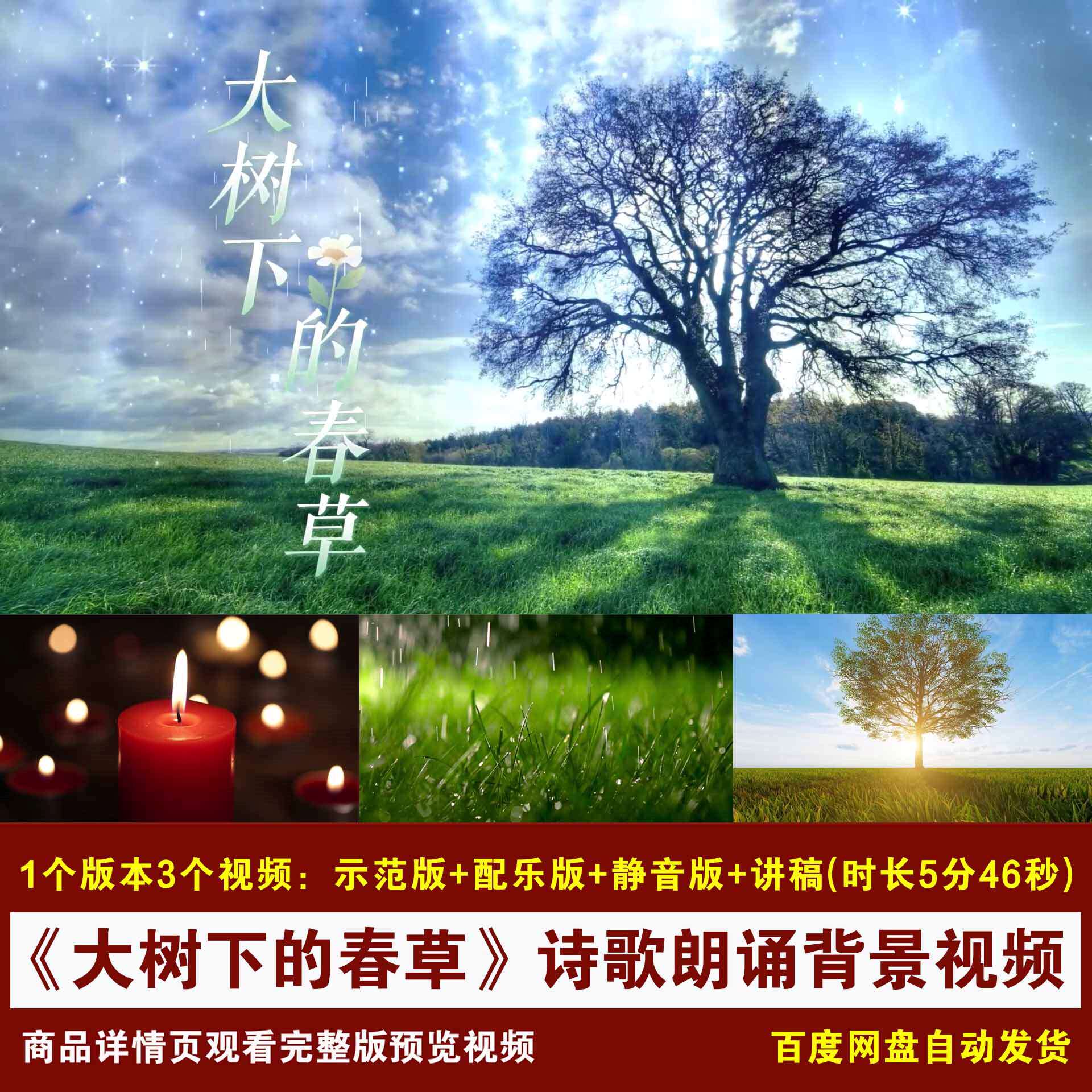 YR271-《大树下的春草》阿炳诗歌朗诵配乐伴奏舞台LED背景视频