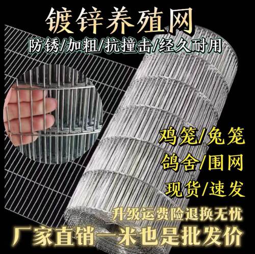 鸽舍铁丝网养殖网围栏网