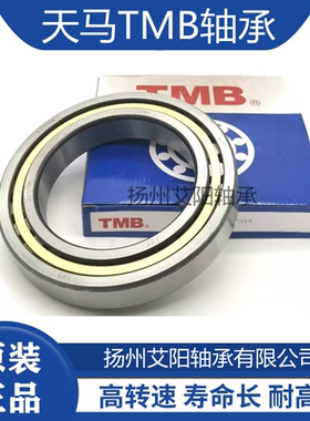 正宗天马TMB圆柱滚子轴承 NJ232EM/C3 42232 尺寸：160*290*48