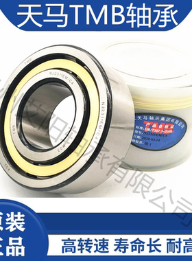 正宗天马TMB圆柱滚子轴承 NJ2304EM 42604 尺寸：20*52*21