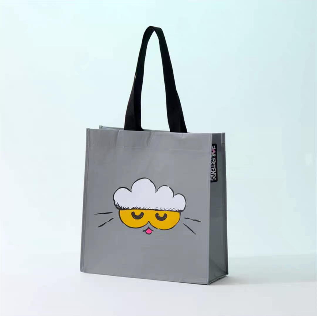 LINE FRIENDS ZOA可爱猫咪环保手提袋帆布包灰色小猫购物托特包