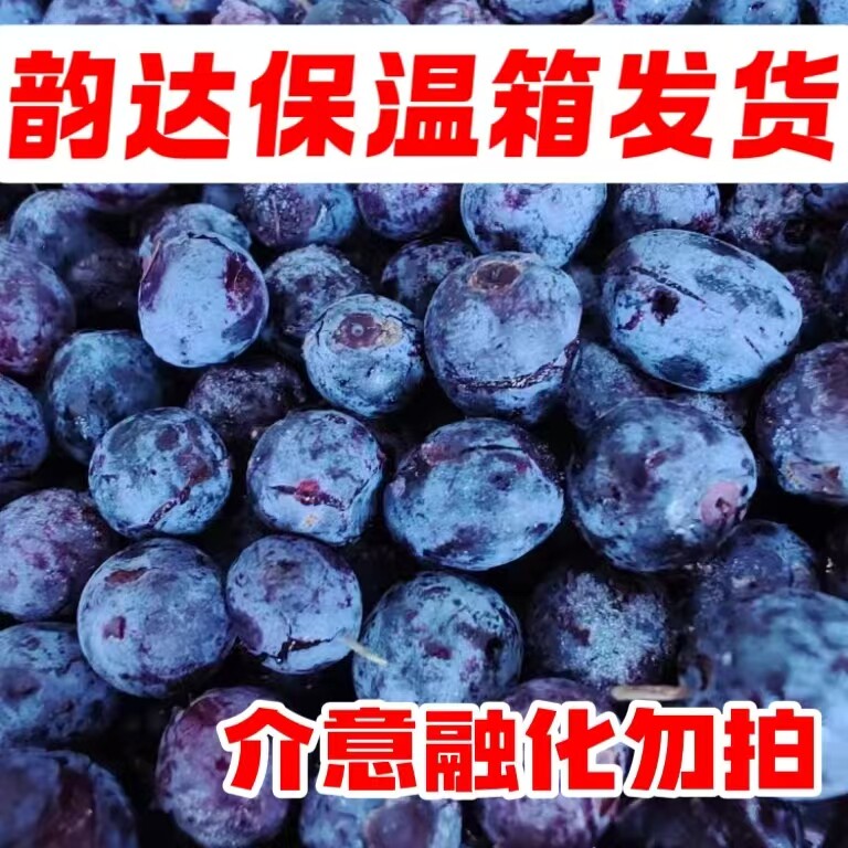 大兴安岭野生蓝莓蔓越莓速冻保温箱韵达发货安疗果酱果汁果昔融化