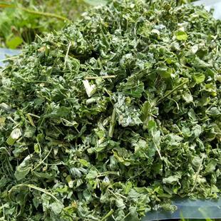 散装 500克 大兴安岭干货野生北黄芪叶子茎泡茶自然晾晒新配送袋装