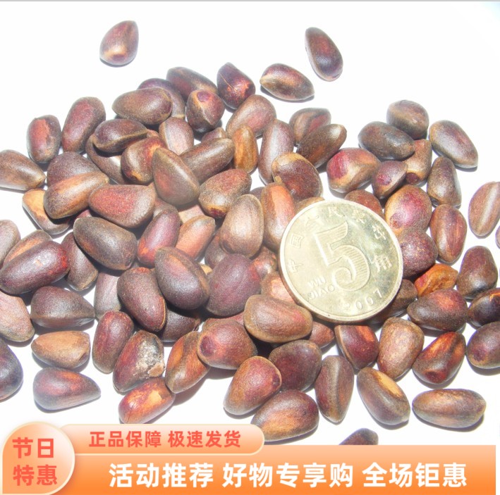 野生散装特产晾晒皮薄配送松子