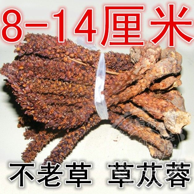 大兴散装安岭野生不老草山苞米草苁蓉列当泡酒8厘米以上250克包邮