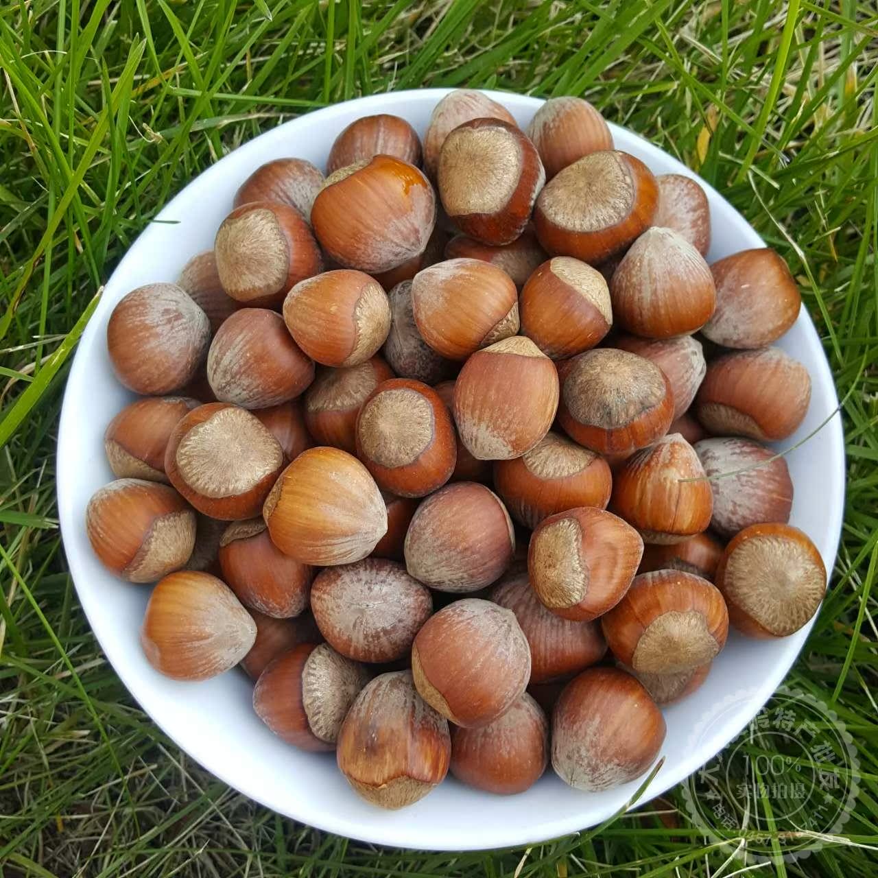 лõÌØ²úÃÀ¹úÌúÁë¸É¼á¹ûÒ°¶«±±Ôζ Éú´óé»×Ó±¥Âú²»¿ª¿Ú500g°üÓÊ