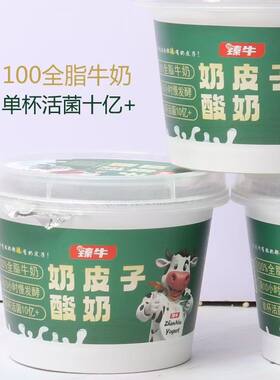 内蒙古赤峰臻牛奶皮子酸奶