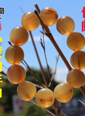 手串庶物天工山羊角原色高密