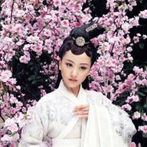 Extension cheveux - Chignon - Ref 235425 Image 4