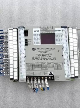 ALLEN-BRADLEY 1791-IOBW 64 点 2 议价