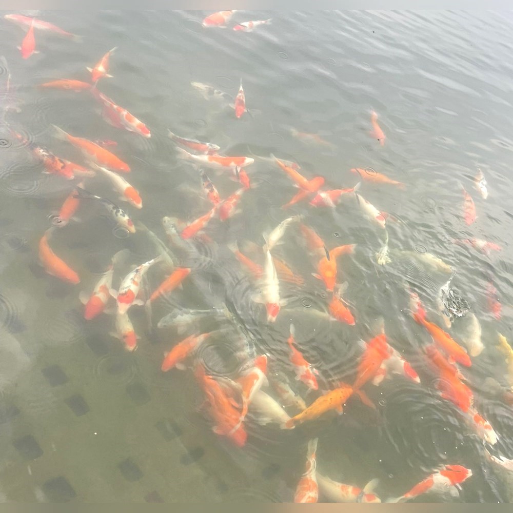 6AG1216-2BD23-2XB0 6AG1 216-2B 议价