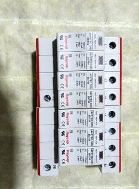 两只美国 Raycap浪涌保护器 SAFETY C(R) 2 议价