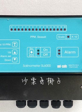 DENMARK SALINOMETER SL6000 盐度计 议价