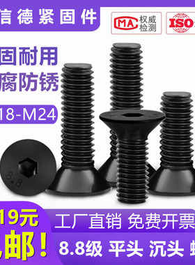 8.8级沉头 内六角平锥头平杯螺丝钉m18m20m22螺栓m24x100x150x200