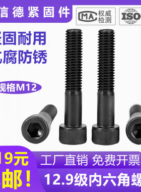 12.9级优质内六角螺丝加长杯头圆柱头螺钉Mm12X80X90X100x150X200