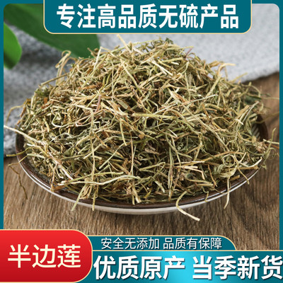 中药材半边莲包邮 野生新鲜干货500g半边连 瓜仁草 急解索 细米草