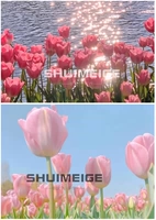 ~ Следующая опция добавляет 2 фоновых карт ~ может использоваться в качестве моря цветов или в качестве фона с фото