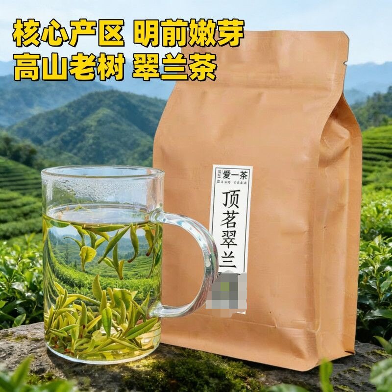 岳西原产地明前翠兰高山老树绿茶