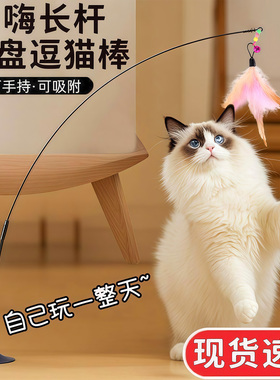 猫玩具逗猫棒自嗨解闷神器带吸盘长杆宠物小猫咪玩的幼猫用品大全