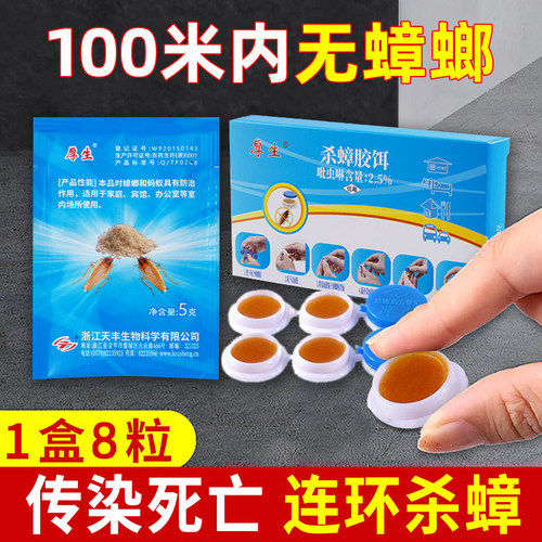 杀蟑螂药全窝端非无毒屋胶饵剂