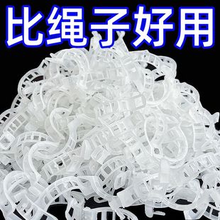 绿植果树植物固定夹卡扣藤蔓固定器秧苗爬藤支撑杆果蔬秧苗吊秧夹